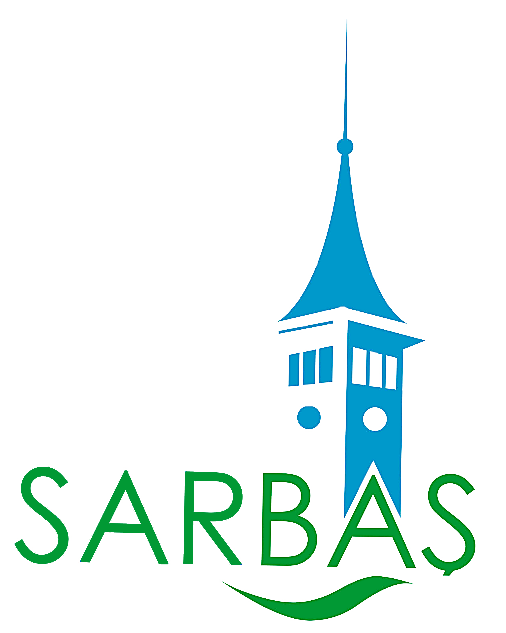 logo-saydam-2